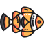 Clown fish icon 64x64