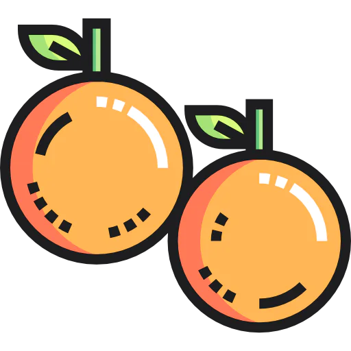 Orange icon