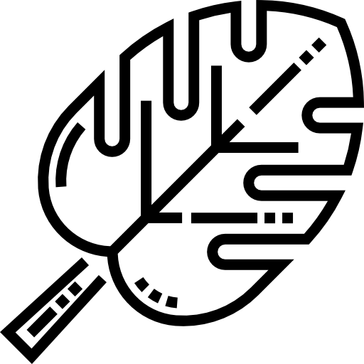 Leaf icon