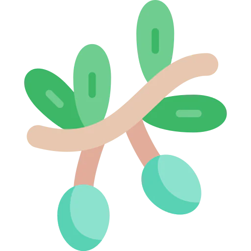 Olive icon