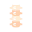 Spine icon 64x64