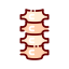 Spine icon 64x64