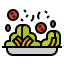 Salad icon 64x64