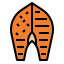 Salmon icon 64x64