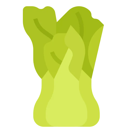 Vegetable icon