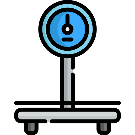 Scale icon