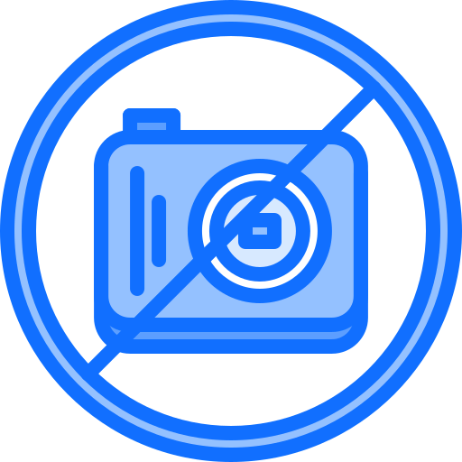No camera icon