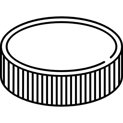 Puck icon