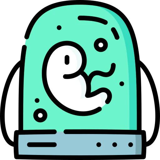 Embryo icon