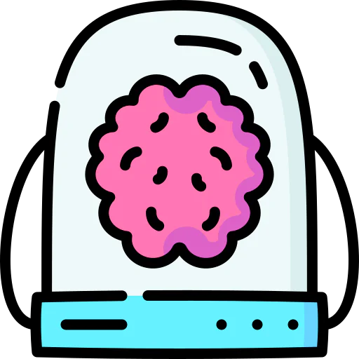 Brain icon