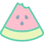 Watermelon icon 64x64