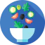 Salad icon 64x64