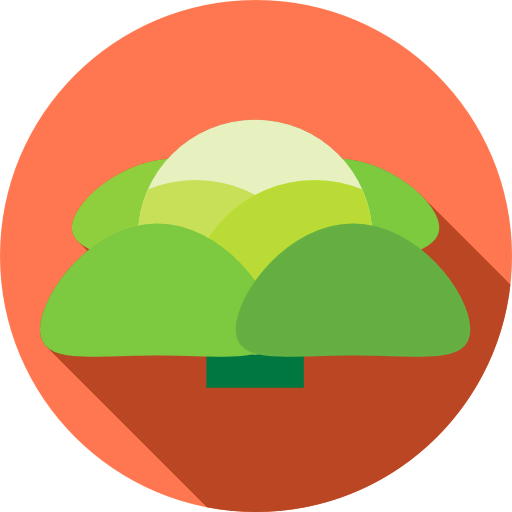 Salad icon