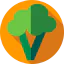 Broccoli icon 64x64
