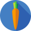 Carrot icon 64x64