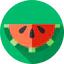 Watermelon icon 64x64