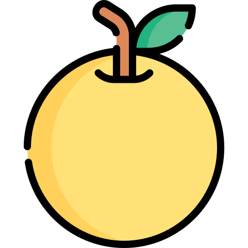 Orange icon