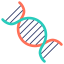 Dna structure icon 64x64