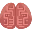 Brain icon 64x64