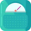 Scale icon 64x64