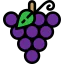 Grapes icon 64x64