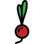 Radish icon 64x64