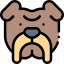Bulldog icon 64x64
