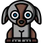 Puppy icon 64x64