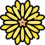 Flower icon 64x64