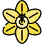 Flower icon 64x64