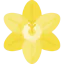 Flower icon 64x64