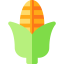Corn icon 64x64