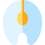 Salmon icon 64x64