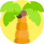 Palm tree icon 64x64