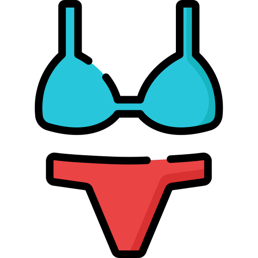 Bra icon