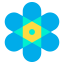 Atom icon 64x64
