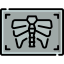 X rays icon 64x64