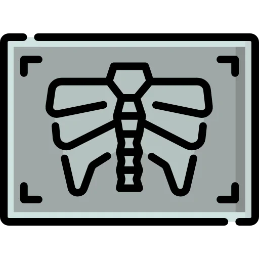 X rays icon