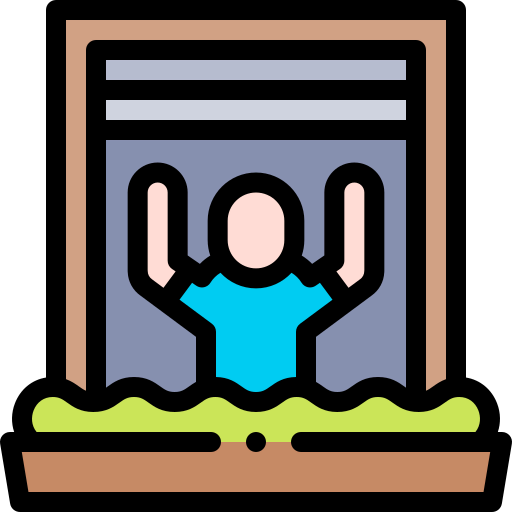 Window icon