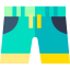 Swimming trunks アイコン 64x64
