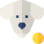 Play with pet icon 64x64