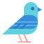 Bird icon 64x64