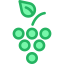 Grapes icon 64x64