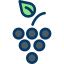 Grapes icon 64x64