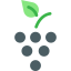 Grapes icon 64x64