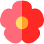 Poppy icon 64x64