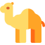 Dromedary icon 64x64