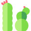 Cactus icon 64x64