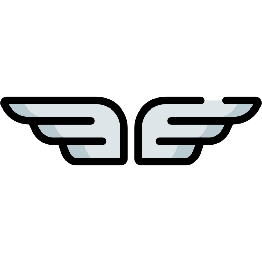 Wings icon
