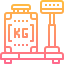 Weight icon 64x64